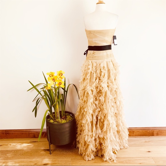 COPY - NEW Tadashi Shoji strapless ruffle chiffon gown - Picture 4 of 8